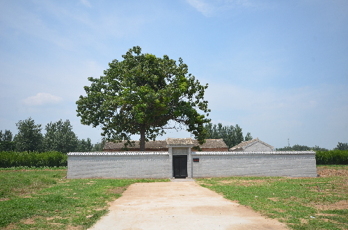 宁陵县石桥镇古村落图片