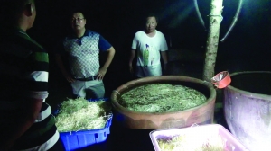 黑作坊使用有毒有害成分的化学添加剂生产毒豆芽 警方供图