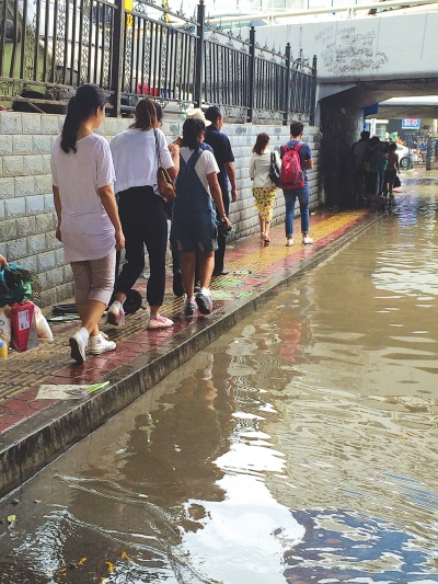 小西湖立交桥下严重积水(图)