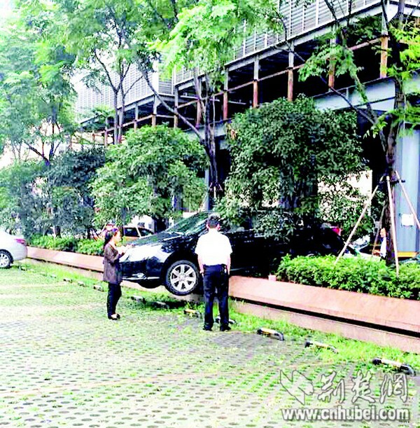 武汉：女司机不慎猛踩油门 轿车倒上半米高花坛_荆楚网