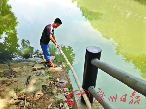 孩童溺亡 缺失的不止护栏?