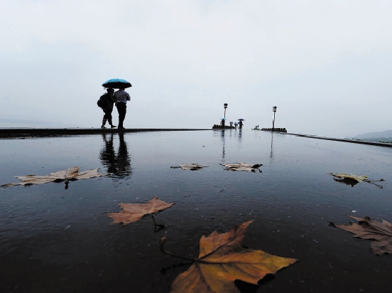 9月19日,杭城阴雨绵绵,西湖边已有秋意.里尔摄