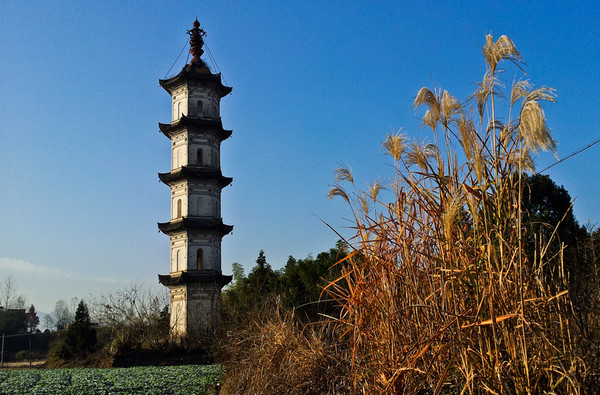 秋游碧山村 笑而不答心自闲