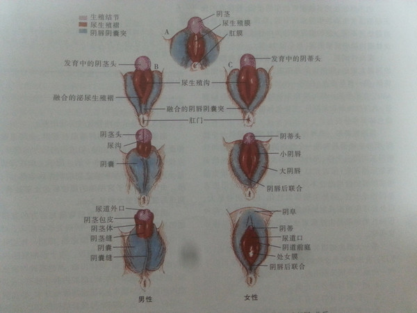 搜狐网