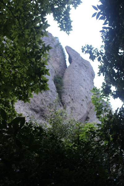 雁荡山阳刚峰图片