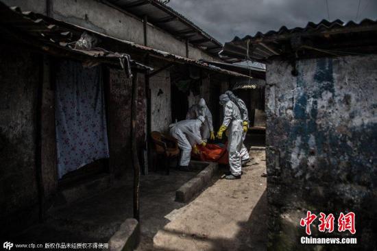 世卫组织：重点防范埃博拉扩散至非洲其他国家