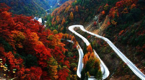 光霧山紅葉賞析費用包含【門 票】:光霧山米倉山景區及景區內觀光車