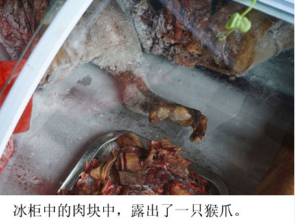 广东吃猴脑事件照片图片