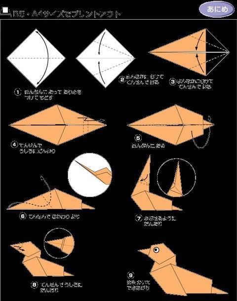 儿童小鸽子最简单折法图片