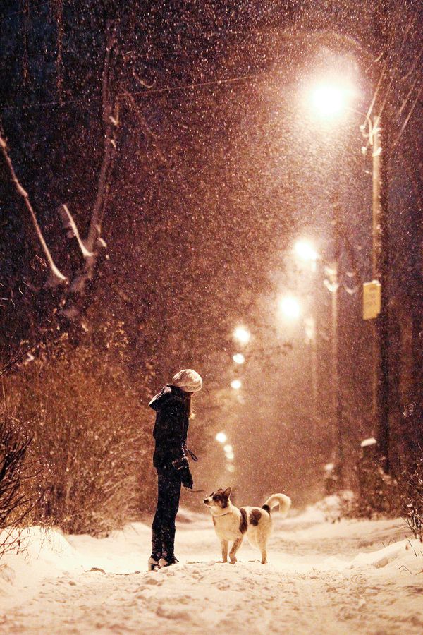 风雪夜归人