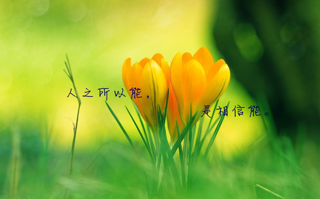 商志考研英语作文模板(2015考研商志英语二之大作文范文)