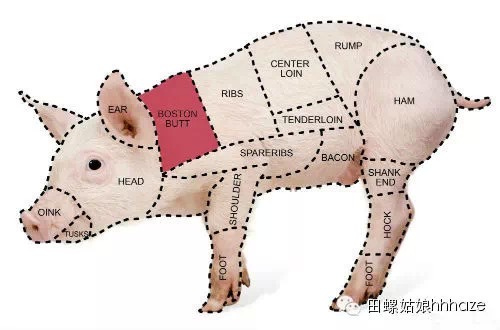 猪肉结构解剖图片图片