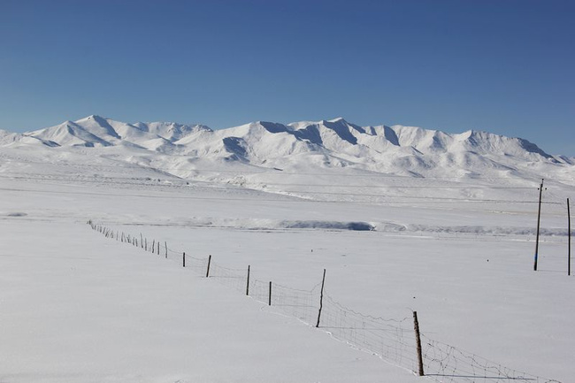 青海冬季的雪景究竟有多美组图