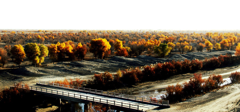 喀什麦盖提县旅游景点图片