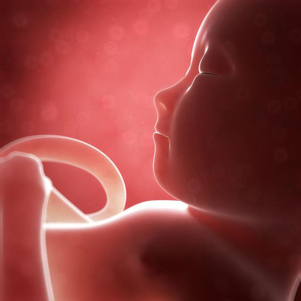怀孕四个月打胎图片图片