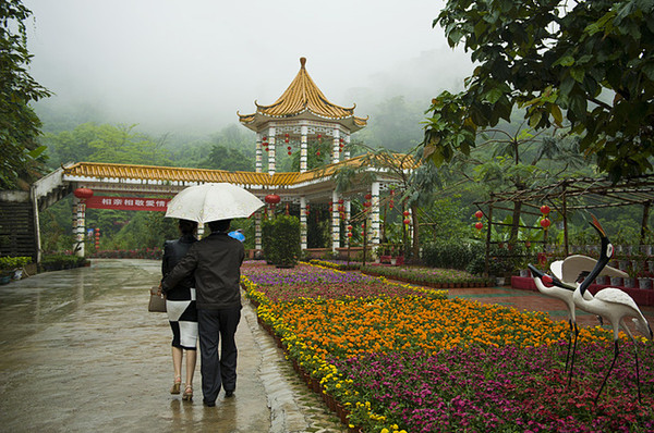 潞江坝百花岭风景区图片