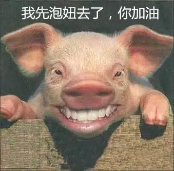 猪都笑了表情包图片