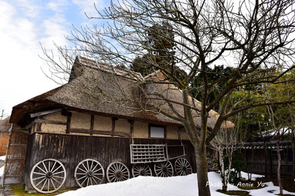 【日本】走進雪國,日本新潟五日冬行記(4)