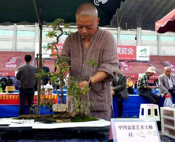 张夷玩出来的中国盆景艺术大师