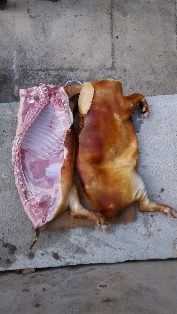 海南五脚猪肉图片图片