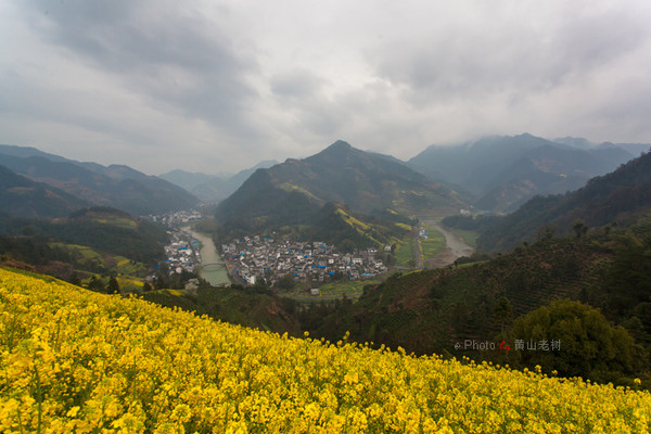 歙縣武陽,2015年3月15日歙縣大川,2015年3月15日歙縣大川島,2015年3月