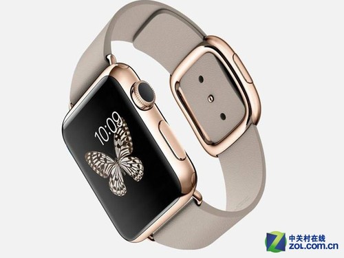 Apple Watch editionڲʣΪֱ͸¶ĵؼֵ