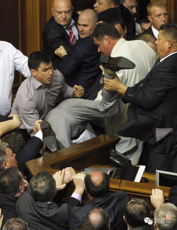俄罗斯议会打架图片
