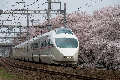 搭乘小田急浪漫特快 花见在日本箱根