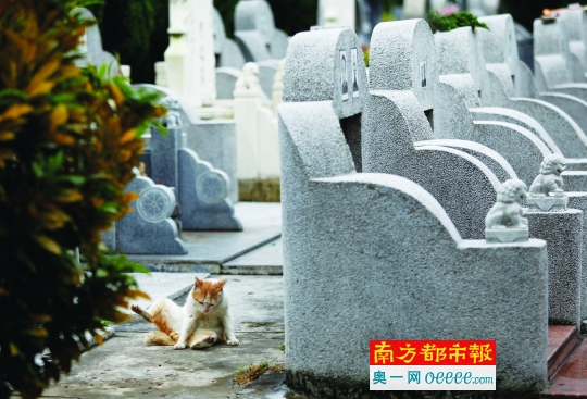 珠海合罗山墓园图片