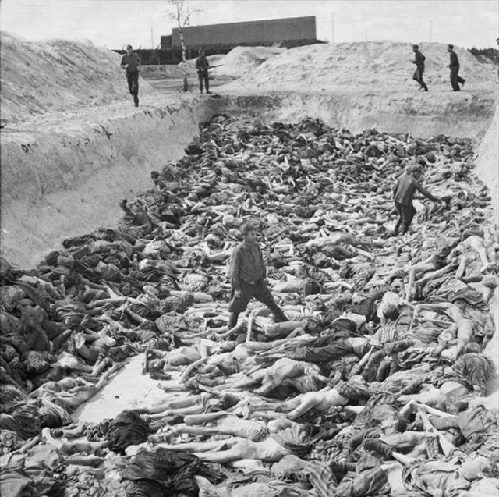 贝尔森集中营:没有毒气室战犯多死于饥饿劳累
