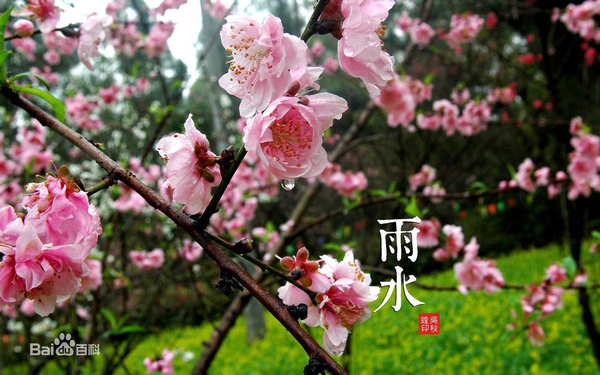 春雷阵阵惊风雨的全诗图片