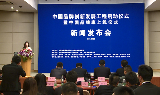 周洋参加中国品牌创新发展工程发布会