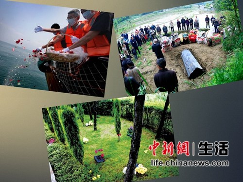 七成网友认为墓地价格昂贵 树葬比海葬、土葬受欢迎