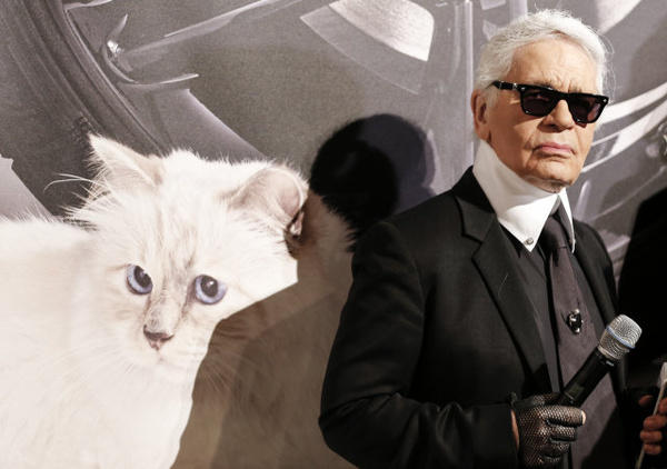 世界上最富有的猫choupettelagerfeld