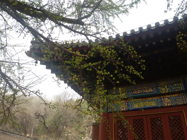 紅螺寺 見眾生便是如來