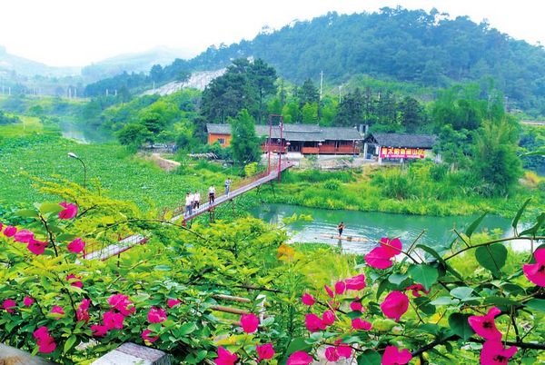 【廣西柳州太陽村鎮新圩村】欣賞重疊瀑布景觀