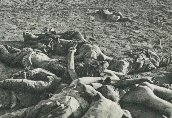 1943年日军秋季大扫荡三个月血洗边区