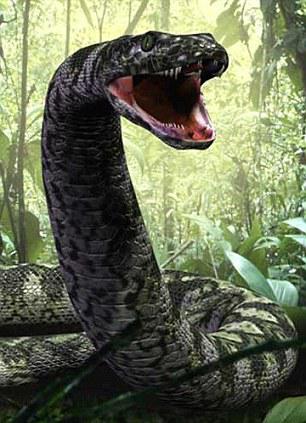 世界上最大的蛇类图片