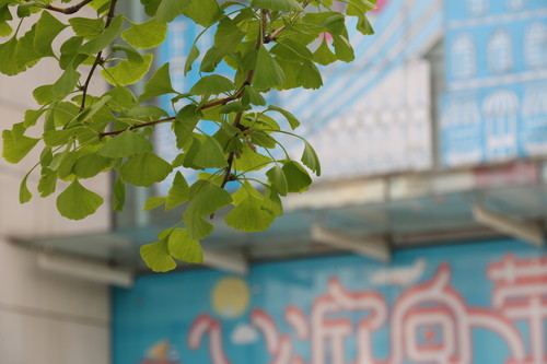 焦距:89mm光圈:f/8.0ISO感光度:100
