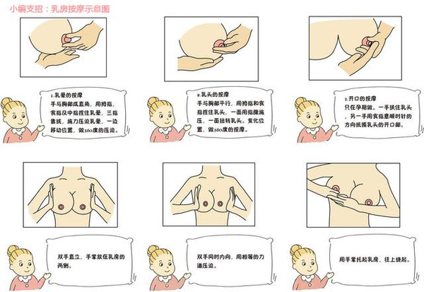 怀孕期乳房变化过程图片