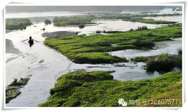 加大潍河湿地生态资源保护,完善湿地公园基础设施,力争将潍河湿地建成