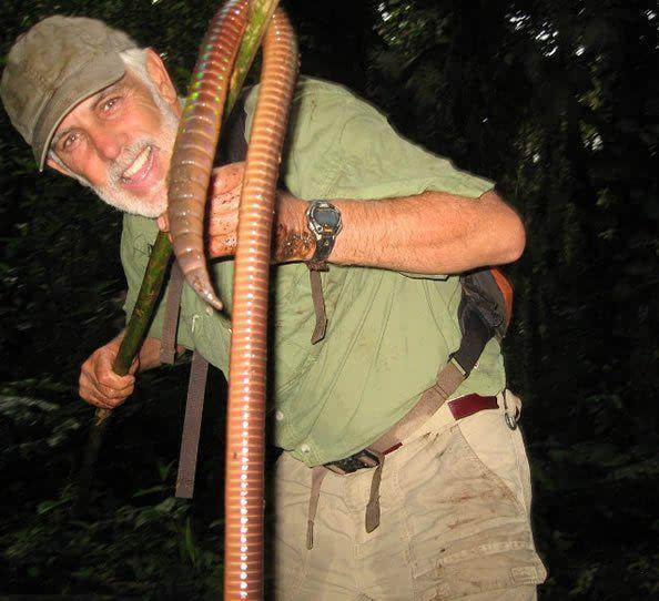 世界上最大最长的蚯蚓长15米重一斤巨型蚯蚓壮如蛇