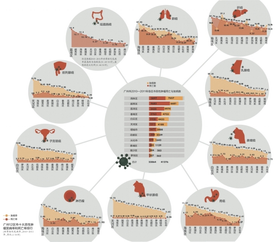 廣州日均31人死於癌症海珠區發病率最高