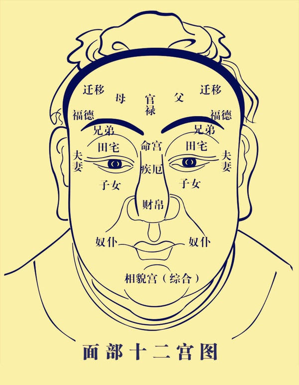 看脸像相命图图片