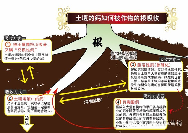 美洛西林钠舒巴坦钠说明书_钠的物理性质_羧甲基纤维素钠性质