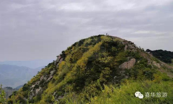 嘉華國旅—一起來爬山啦 濟南最高山梯子山等著你