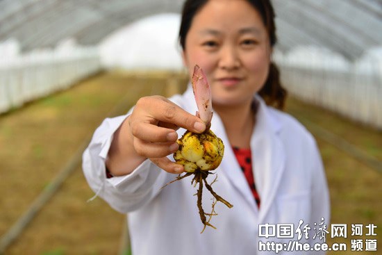 中国经济网承德4月16日讯(孙占军 石峥 通讯员杨双剑 咸立冬)4月16日