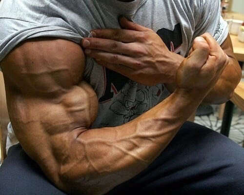 肌肉的重要性肌肉是人体的第二心脏手无缚鸡之力寿命短