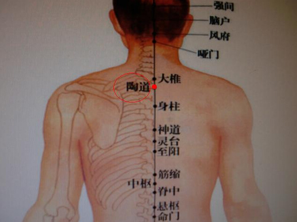 颈椎上的经络图图片