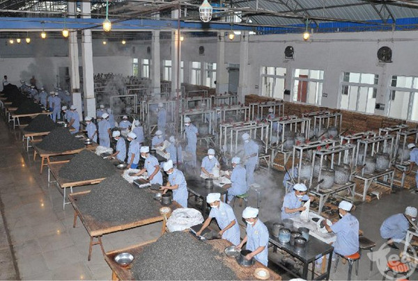 普洱古源茶厂图片